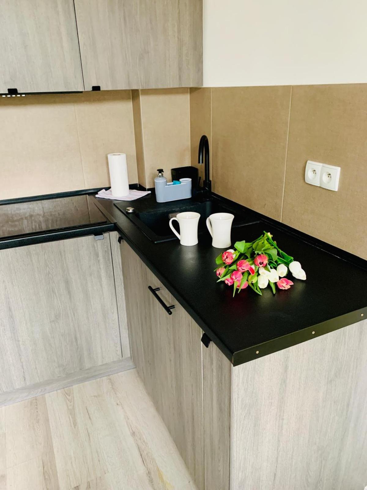 Apartament Fraszka U Kochanowskiego Ac Progres Stary Toruń Extérieur photo